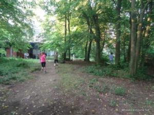 2018-06-28 11-15-26 DSC05476